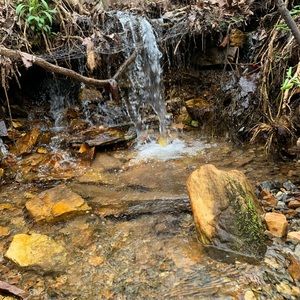 Meet your Posher, Emilee